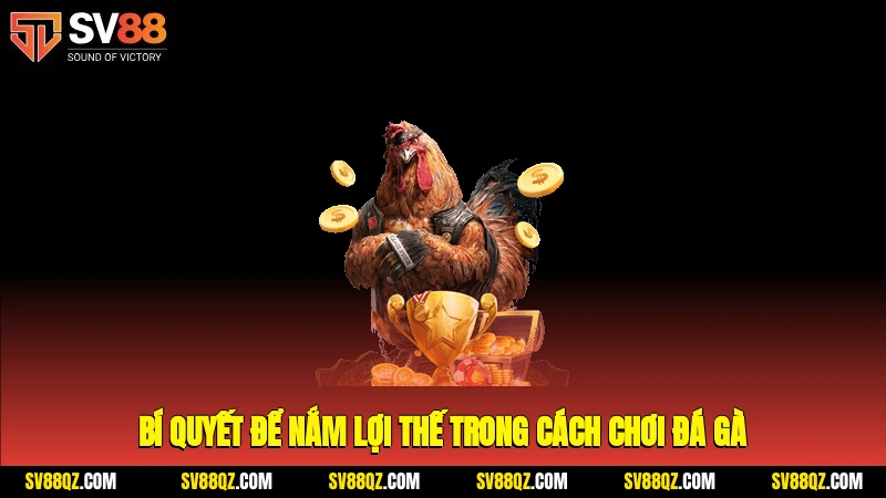 Bí quyết để nắm lợi thế trong cách chơi đá gà