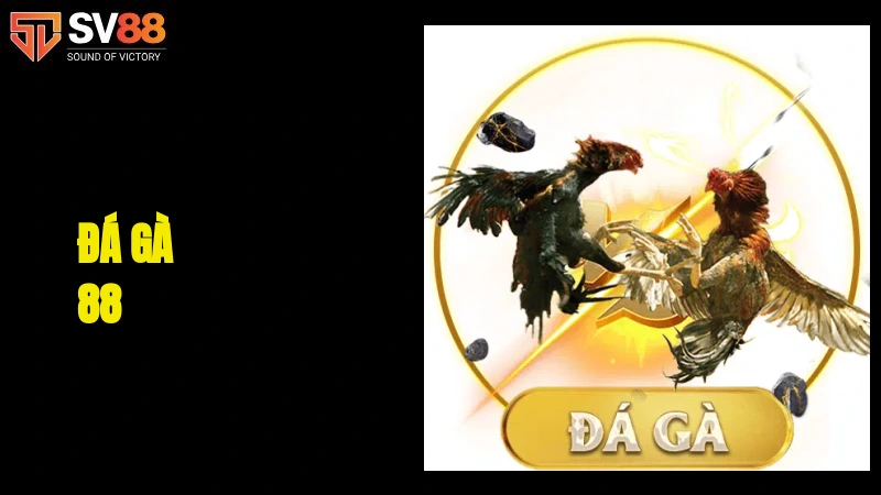 Đá gà 88