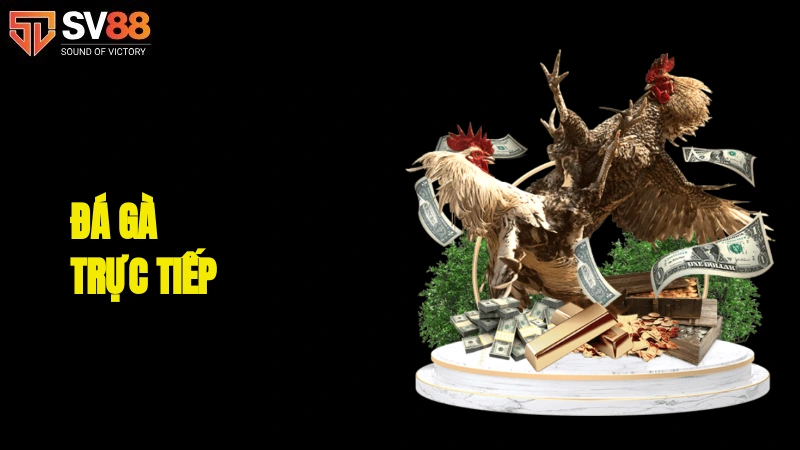 Đá gà trực tiếp