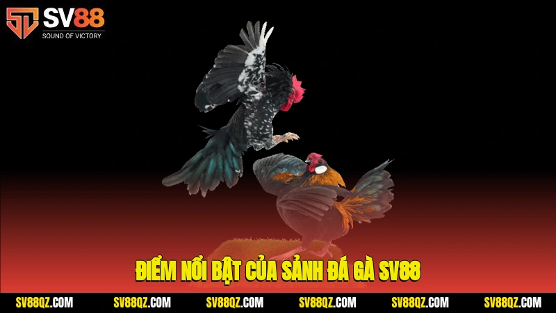 Điểm nổi bật của sảnh đá gà SV88