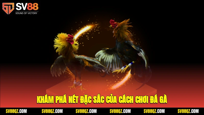 Khám phá nét đặc sắc của cách chơi đá gà