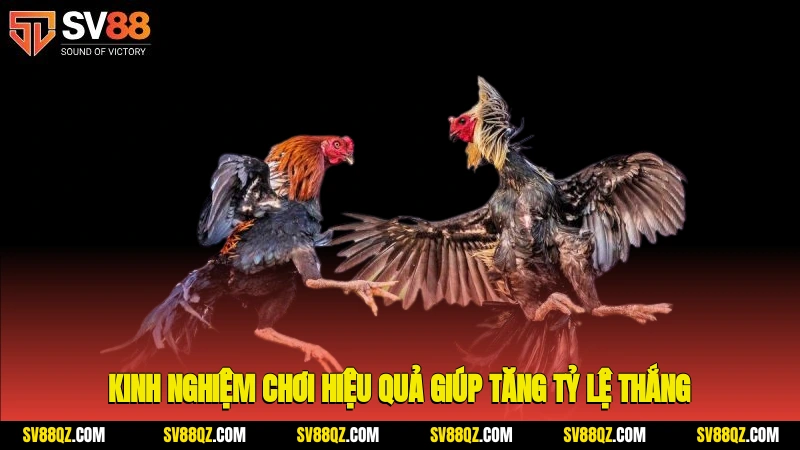 Kinh nghiệm chơi hiệu quả giúp tăng tỷ lệ thắng