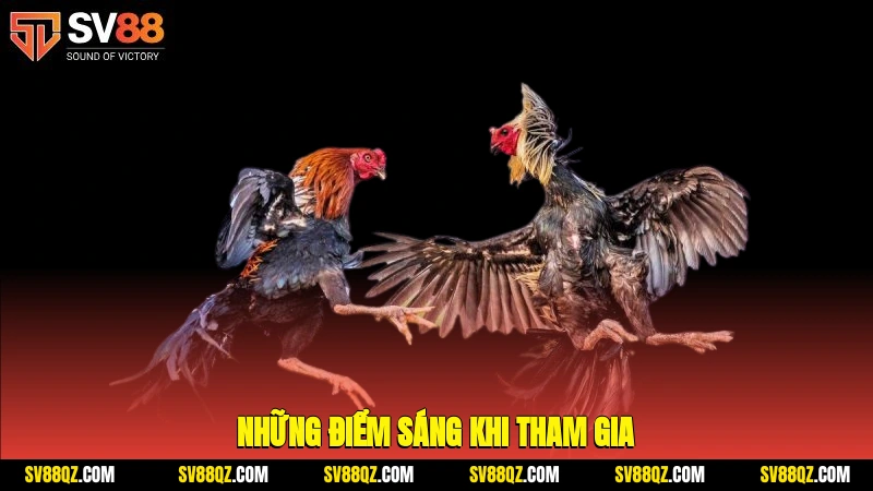Những điểm sáng khi tham gia
