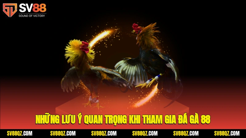 Những lưu ý quan trọng khi tham gia đá gà 88