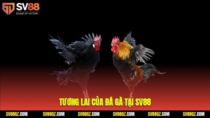 Tương lai của đá gà tại SV88
